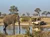 Savute Elephant Camp by Orient Express- Game Drive